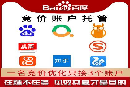 知名SEM服务公司成功案例分享